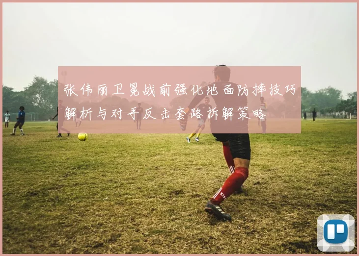 张伟丽卫冕战前强化地面防摔技巧解析与对手反击套路拆解策略