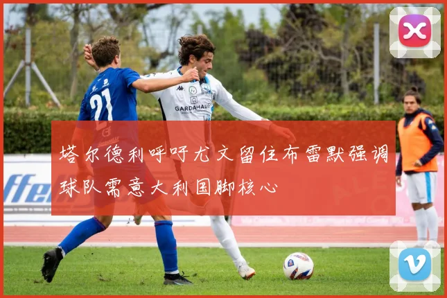塔尔德利呼吁尤文留住布雷默强调球队需意大利国脚核心
